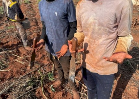 FORÇA-TAREFA RESGATA PARAGUAIOS EM CONDIÇÕES ANÁLOGAS À ESCRAVIDÃO NO SUL DO ESTADO