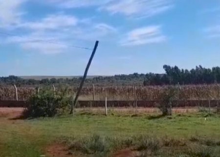 PRESENÇA DE SUPOSTA ONÇA NO DISTRITO DE ITAMARATI CAUSA ALARME E MOBILIZA MORADORES