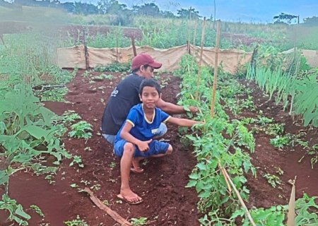 PLANTIO DE ALIMENTOS NAS ALDEIAS É TRABALHO SILENCIOSO