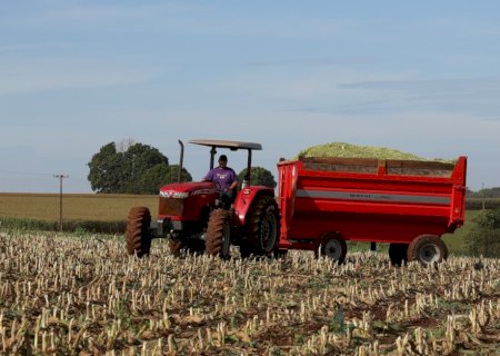 PREFEITURA DE DOURADOS SELECIONA AGRICULTORES FAMILIARES PARA DISTRIBUIÇÃO GRATUITA DE FERTILIZANTE ORGÂNICO