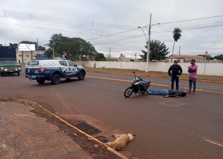 MOTOCICLISTA FICA FERIDA APÓS ATROPELAR CACHORRO NA AVENIDA CORONEL PONCIANO
