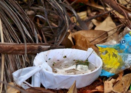 COM 17 VÍTIMAS, SAÚDE INVESTIGA SETE MORTES POR DENGUE EM MS