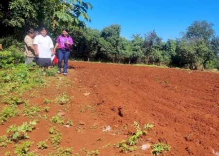 MULHERES INDÍGENAS INICIAM CULTIVO DE ALIMENTOS COM APOIO DA PREFEITURA DE DOURADOS