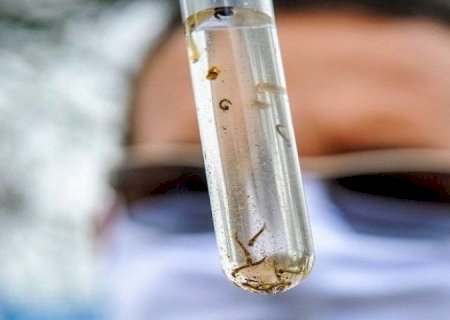 MATO GROSSO DO SUL JÁ REGISTRA 17 MORTES POR DENGUE EM 2025