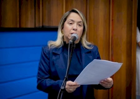 DEPUTADA PEDE APOIO DO ESTADO A DOURADOS