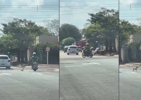 EM NOVA ANDRADINA, MOTOCICLISTA É FLAGRADA ARRASTANDO DOGUINHO COM CORDA
