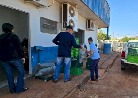 PREFEITURA DE DOURADOS JÁ DISTRIBUIU MAIS DE 10 TONELADAS DE ALIMENTOS POR MEIO DO PAA