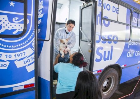 PREFEITURA DE DOURADOS E ESTADO REALIZAM CARAVANA DA CASTRAÇÃO ENTRE OS DIAS 3 E 12 DE NOVEMBRO