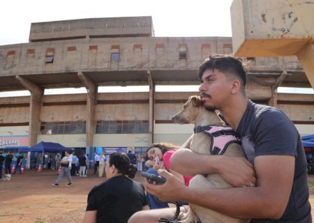 CARAVANA DA CASTRAÇÃO ATENDEU MAIS DE 90 ANIMAIS NO 1º DIA E PREFEITURA REFORÇA CUIDADOS