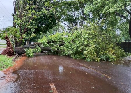 PREFEITURA E DEFESA CIVIL ATUAM PARA REDUZIR IMPACTOS DO TEMPORAL EM DOURADOS