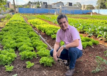 LANDMARK ESTRUTURA CINTURÃO VERDE PARA FORTALECER AGRICULTURA FAMILIAR E SEGURANÇA ALIMENTAR