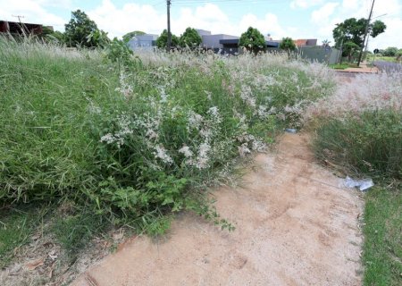 PREFEITURA NOTIFICA PROPRIETÁRIOS PARA ROÇADA E LIMPEZA DE TERRENOS BALDIOS EM DOURADOS