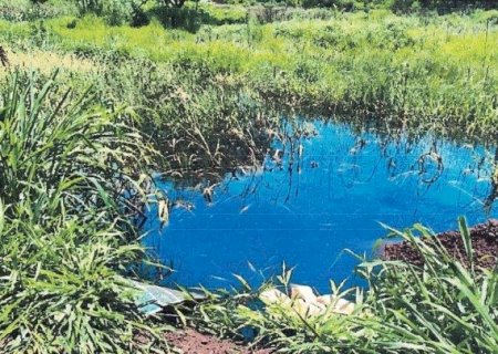 INQUÉRITO APURA CONTAMINAÇÃO DE LAGOA AOS FUNDOS DO BAIRRO SANTA FELICIDADE EM DOURADOS