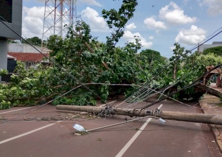 PREFEITURA REDUZ IMPACTO DE TEMPORAL COM SUPRESSÃO DE ÁRVORES E RESPOSTA RÁPIDA