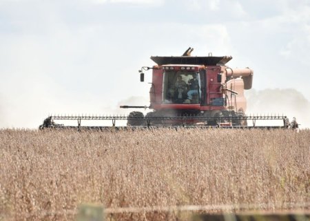 MS TEM CINCO CIDADES ENTRE AS MAIORES PRODUTORAS DE SOJA DO BRASIL