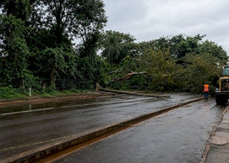 PREFEITURA MANTÉM FORÇA-TAREFA APÓS TEMPORAL E SEGUE COM ATENDIMENTOS NA CIDADE