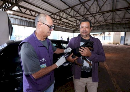 PREFEITURA DE DOURADOS LEVA VACINAÇÃO ANTIRRÁBICA PARA CINCO PONTOS DA CIDADE NESTA SEXTA-FEIRA