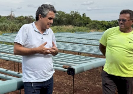 LANDMARK COBRA EXPLICAÇÕES SOBRE O PROGRAMA DE AQUISIÇÃO DE ALIMENTOS E NÃO DESCARTA AUDITORIA FEDERAL